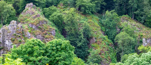 Panel kuchenny z motywem Dense green deciduous forest treetops background texture in high angle drone view