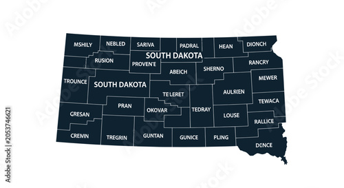 Fotografie South dakota state map with county boundaries and names