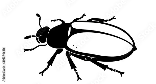 Bild auf Leinwand insectsilhouette, beetlesilhouette, beetleillustration, beetle, insect, bug, sil