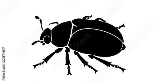 Foto beetle, beetlesilhouette, beetleillustration, insect, bug, silhouette, black, ar