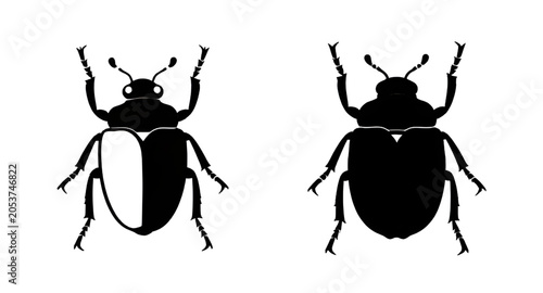 Quadro su tela beetleillustration, beetlesilhouette, beetle, insect, bug, silhouette, black, ar
