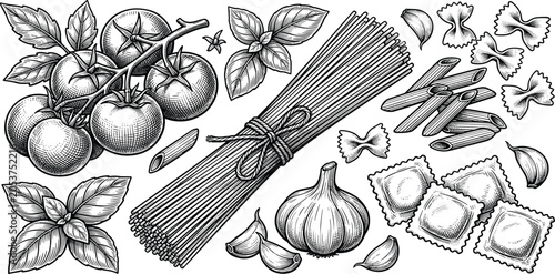 Italian Pasta and Ingredients Hand Drawn Engraving Style Illustration featuring Spaghetti Vine Tomatoes Garlic Penne Farfalle Ravioli and Basil Leaves for Restaurant Menu Layouts