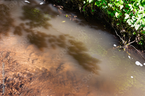 Bild auf Leinwand Brown stream water flowing over sandy riverbed with reflections of lush green fo