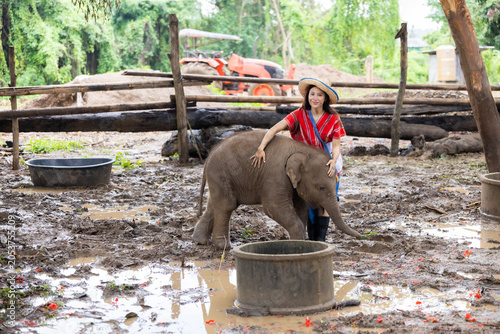 Fotografie Elephant calf woman mahout rural muddy sanctuary forest animal care, woman in tr