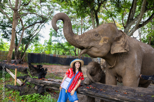 Tableau sur toile Elephant woman forest animal trunk mahout tourism nature sanctuary, woman smilin