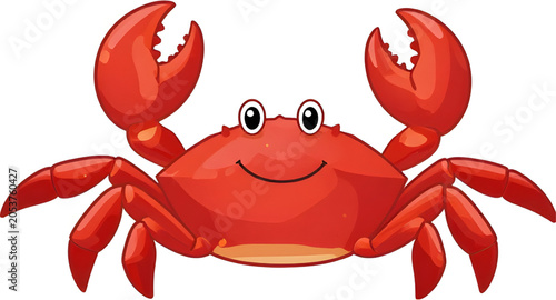 Photos cartooncrab, redcrabvector, crabillustration, crab, crustacean, ocean, sea, mari