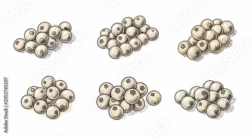 White Peppercorns in Clusters: Culinary Spice Illustration