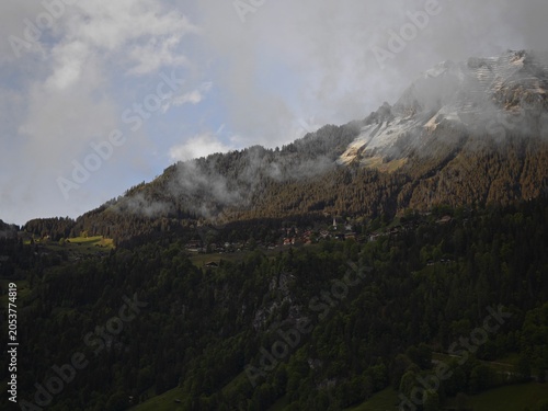 Fotografi Majestic swiss alpine mountainside featuring dense evergreen pine forests and sc
