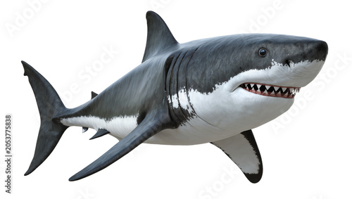 Fotografia Great white shark with open mouth and sharp teeth