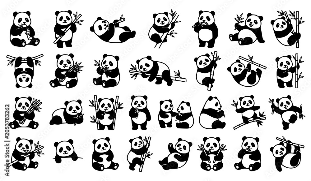 Fototapeta premium Black and white panda collection diverse poses with bamboo for design projects