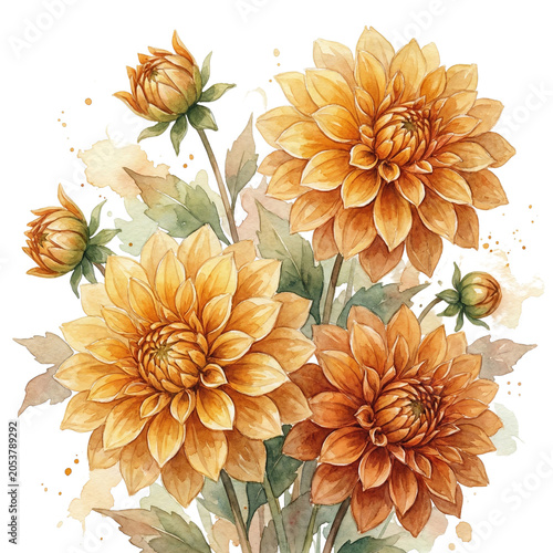 Watercolor Orange Dahlias Floral Arrangement botanical painting artistic illustration isolated on transparent background