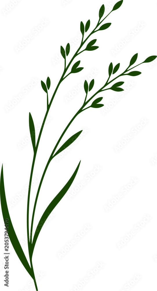 Fototapeta premium Green grass silhouette vector illustration. flax,