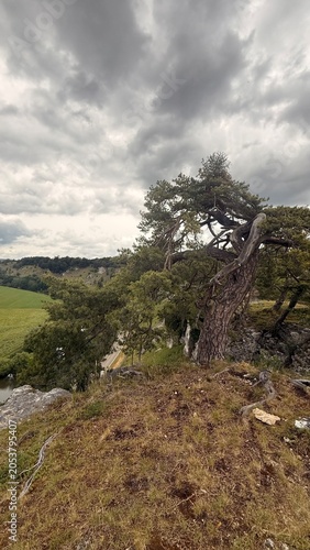 Wandern im Altmühltal