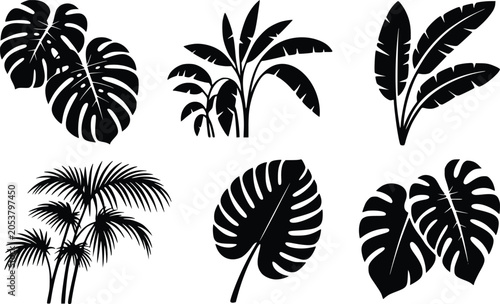 a collection of 6 8 distinct black silho ZRWaF7C3URymm35gUH29Vw RzPJKt05QG2VBeIU qTz g cover isolated on white background