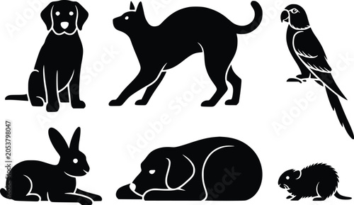 a collection of 6 8 distinctive black si Glc4aD9sXXG1ULDazurGpw 9TCZVHRySFqNhYqNUy2K4w cover isolated on white background