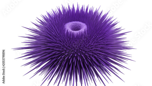 Tableau sur toile Purple sea urchin with sharp spines