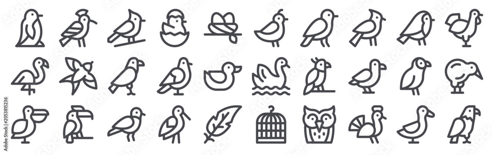 Obraz premium Pack of 30 linear Birds web icons such as penguin, flamingo, pelican, hoopoe, swallow. Editable vector stroke symbols