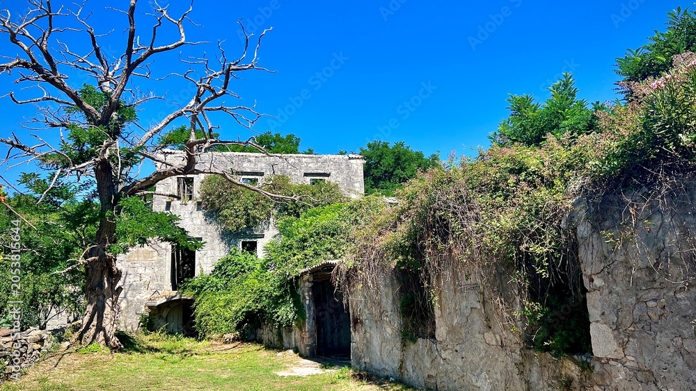 Fototapeta premium house on the hill
