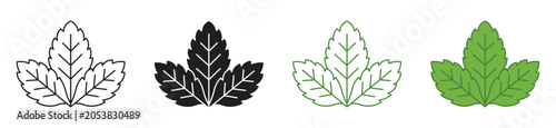 Fresh mint leaf icon set, vector illustration.