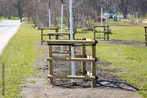 Wooden tree guards installed around young trees in a park, with a clear pathway and grass visible in the background under bright daylight