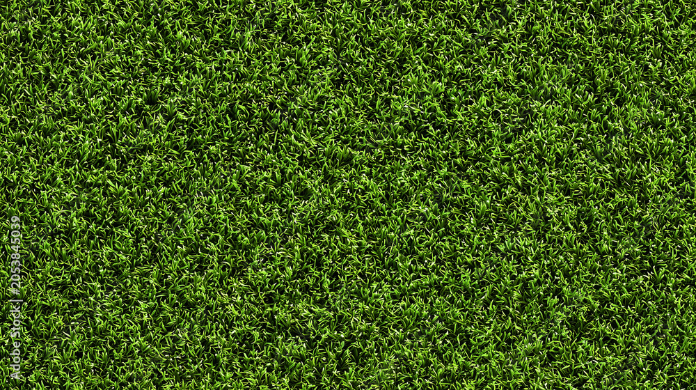 Obraz premium Seamless Tileable Lawn Grass Surface Texture Flat