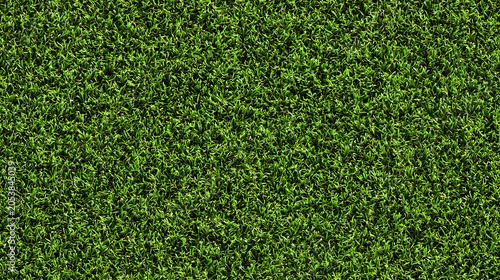 Seamless Tileable Lawn Grass Surface Texture Flat