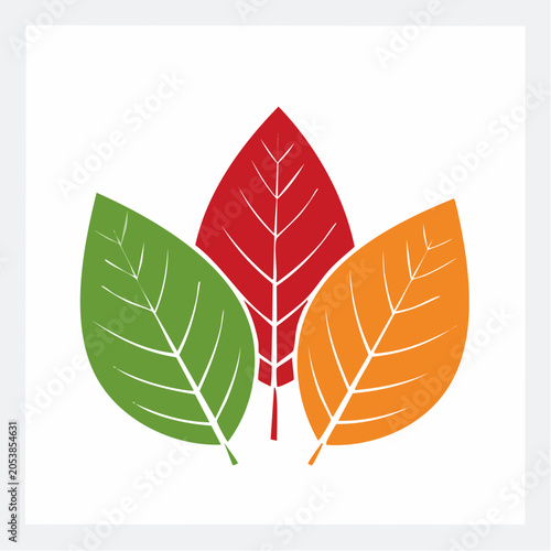Three colorful leaves in red, green, and orange