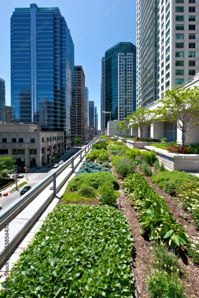Naklejka premium Modern Green Rooftop Garden Oasis Amidst Tall Urban Skyscrapers on a Sunny Day