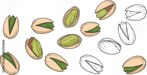 Photography Hand drawn vintage pistachio nuts collection featuring realistic cracked shells