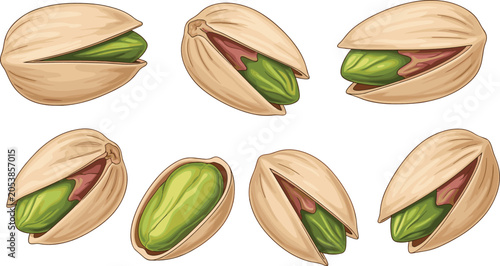 Fotografie Wholesome roasted pistachio nuts vector clip art bundle containing open cracked