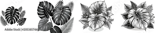 A striking black monstera leaf pattern with smaller tropical elements like ferns and philodendrons stands out against a pure white background in high contrast