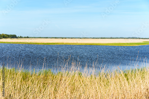 Scenic wetland landscape of Lake Liepaja with tall reeds and calm blue water in Latvia