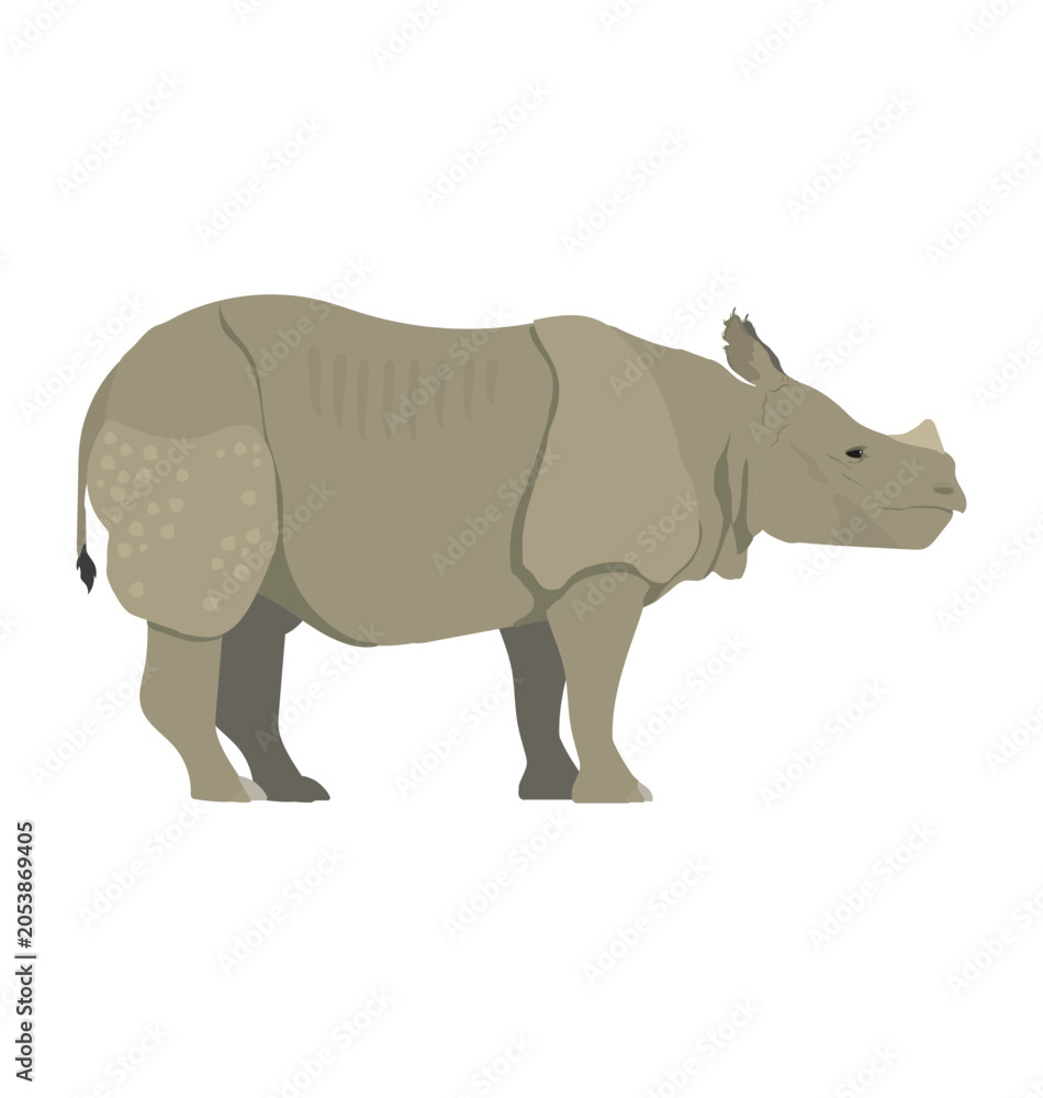 Fototapeta premium Adult Javan Lesser one-horned rhinoceros in side view flat vector icon
