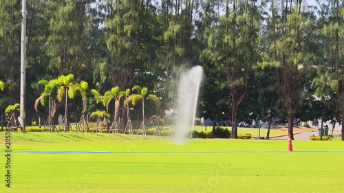 Golf green, on the golf course