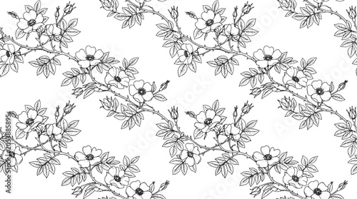 Bild auf Leinwand Wild rose branch seamless pattern botanical line art vector