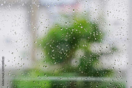 Quadro su tela Rain droplets adorn a glass surface, creating a blurred background of greenery t
