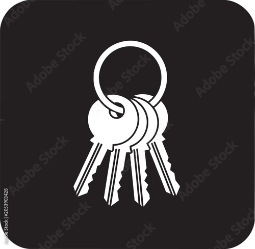 A minimalist white key ring silhouette icon representing security and access solutions designed on transparent background