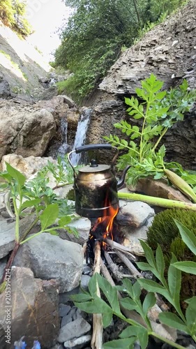 Camping in the Forest: Traditional Tea Brewing Next to a Babbling Brook