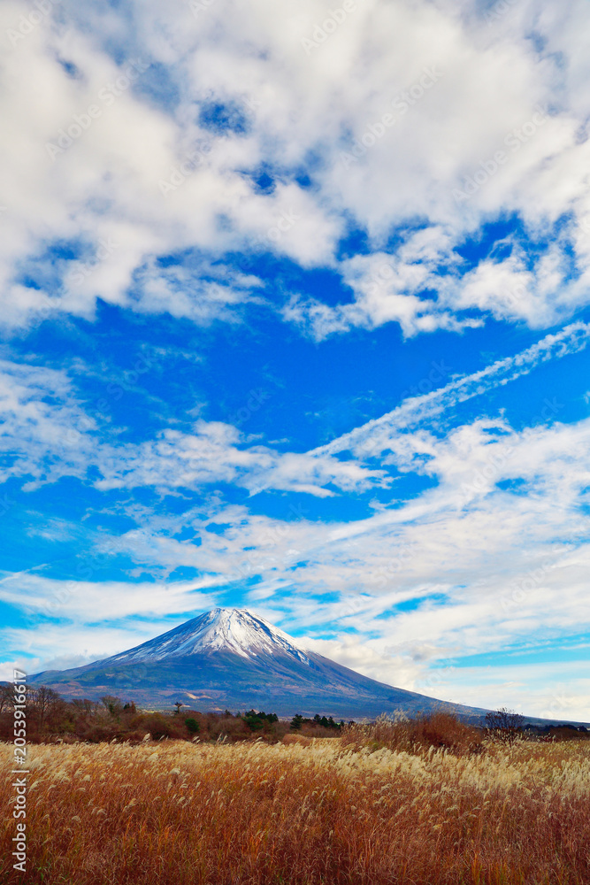 Fototapeta premium ススキ越しに見る朝霧の富士山