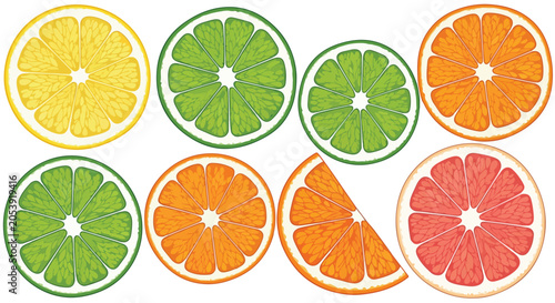 Foto Citrus fruit slices vector set, colorful lemon lime orange and grapefruit cross
