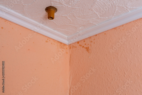 Bild auf Leinwand Mold infestation spreading across an interior wall due to excess moisture and poor ventilation