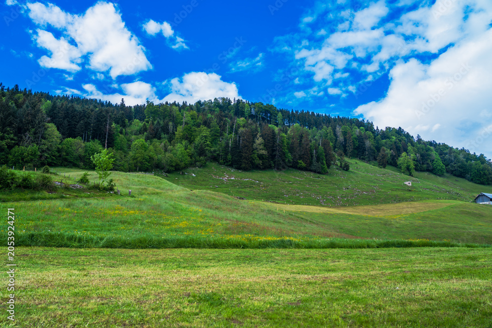 Fototapeta premium スイスの美しい風景