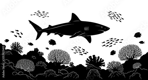 Silhouette of a shark swimming above coral reef with small fish underwater scene.