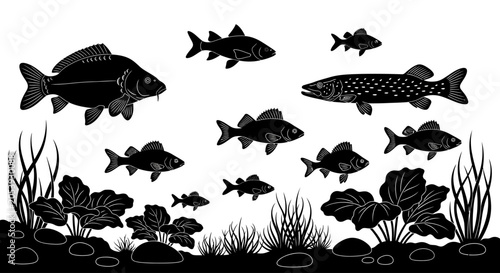 Silhouettes of various freshwater fish swimming among underwater plants and rocks.