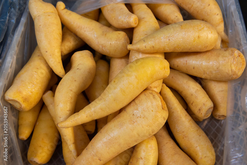 Mandioquinha, batata baroa or Arracacia xanthorrhiza