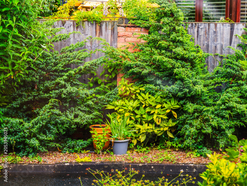 walled garden with plants and flowers