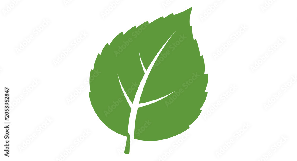 Fototapeta premium Green leaf with white veins.