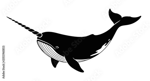 Photography Black silhouette of a narwhal swimming.
