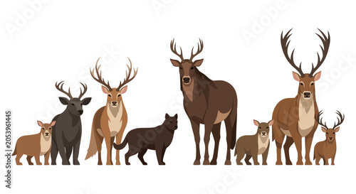 Fotografi Group of deer and a wolf.