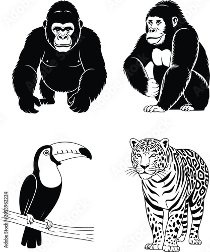 Photography Set of hand-drawn illustrations featuring diverse wild animals including two gor